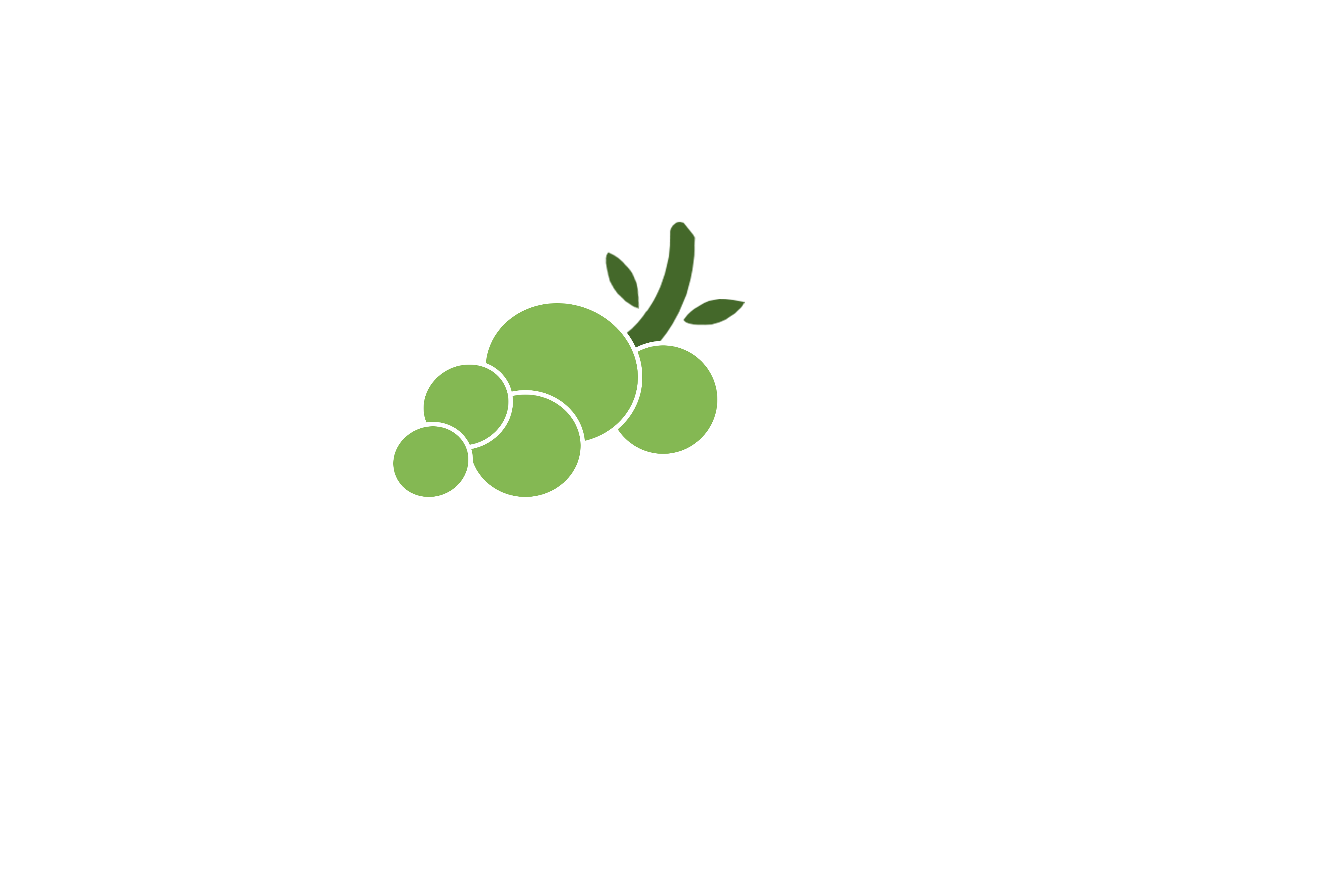 Vineyard Church